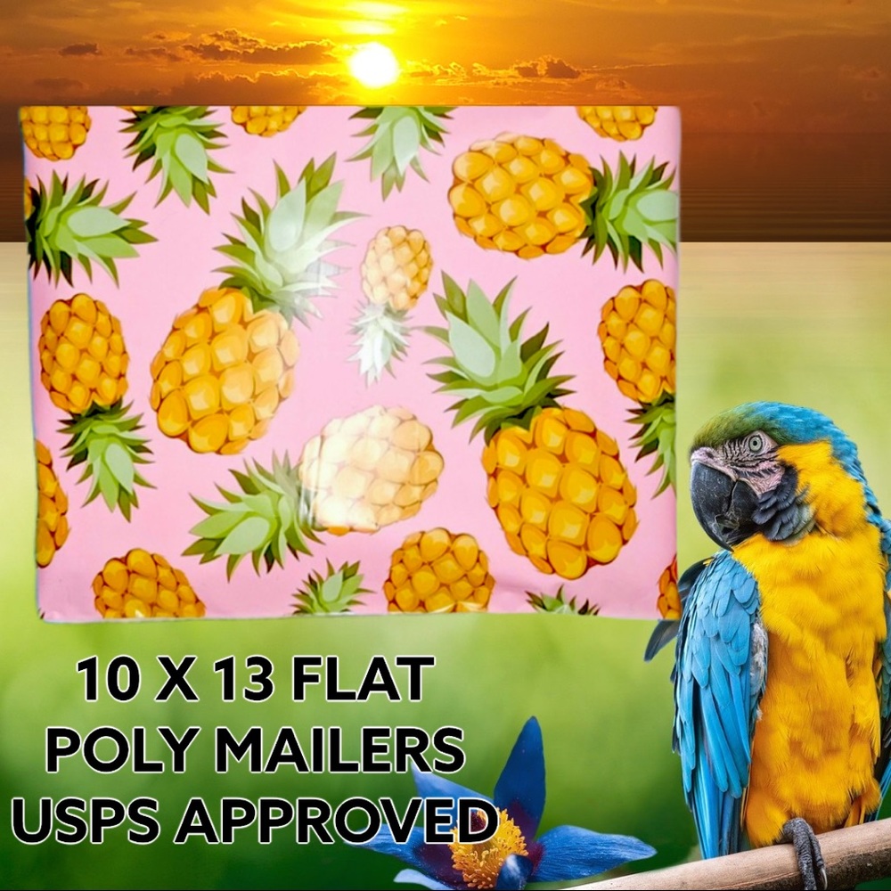50 10X13 Poly Mailers Pineapple PRICE IS FIRM - Picture 6 of 11